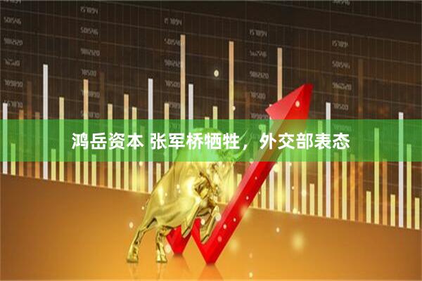鸿岳资本 张军桥牺牲，外交部表态