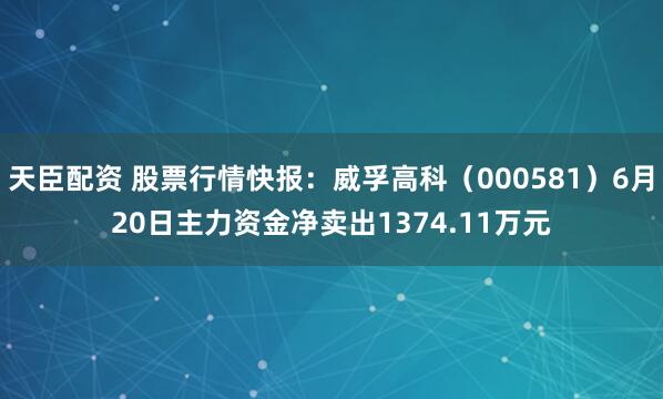 天臣配资 股票行情快报：威孚高科（000581）6月20日主力资金净卖出1374.11万元