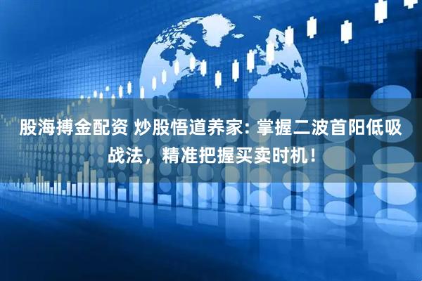股海搏金配资 炒股悟道养家: 掌握二波首阳低吸战法，精准把握买卖时机！