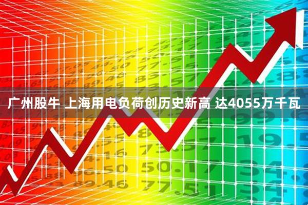 广州股牛 上海用电负荷创历史新高 达4055万千瓦
