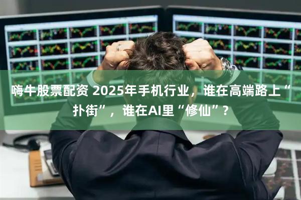 嗨牛股票配资 2025年手机行业，谁在高端路上“扑街”，谁在AI里“修仙”？
